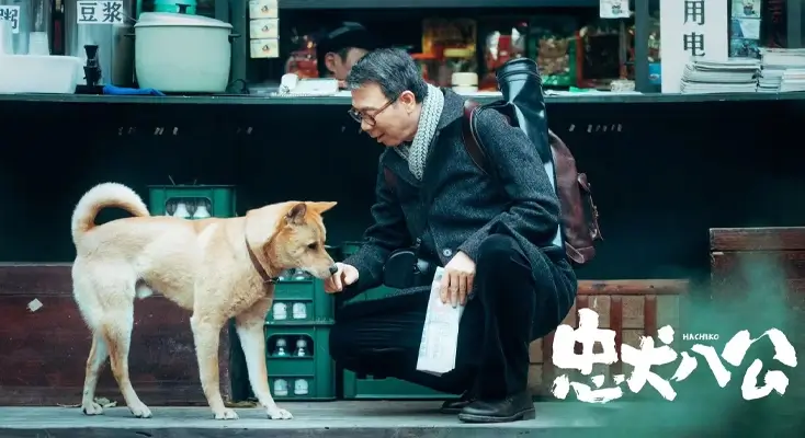 腾讯视频在澳门看不了怎么办评价