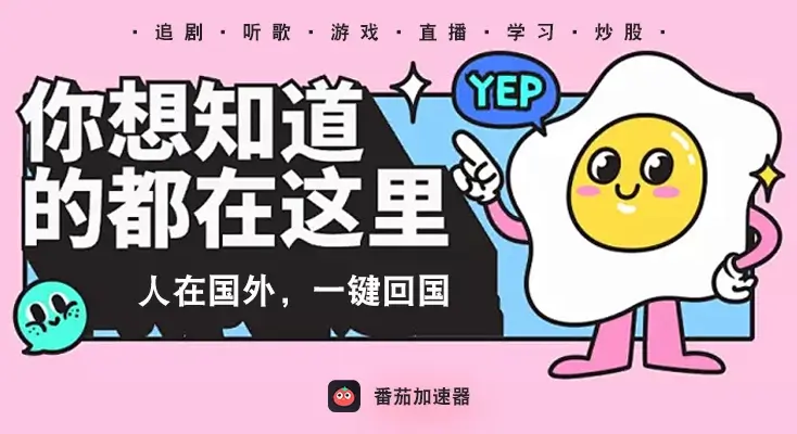 翻墙回大陆vpn示例